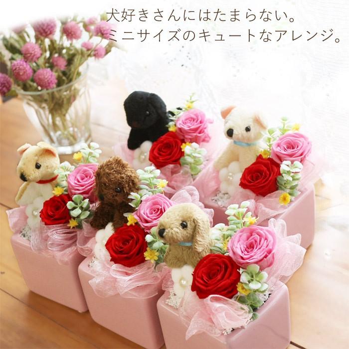 プリザーブドフラワー 犬 プレゼント ギフト 退職祝い 送別 誕生日 女性 花 おしゃれ ランキング ぬいぐるみ 動物 子犬プリザ Koinu プリザ フラワーのサウンドアレンジ 通販 Yahoo ショッピング