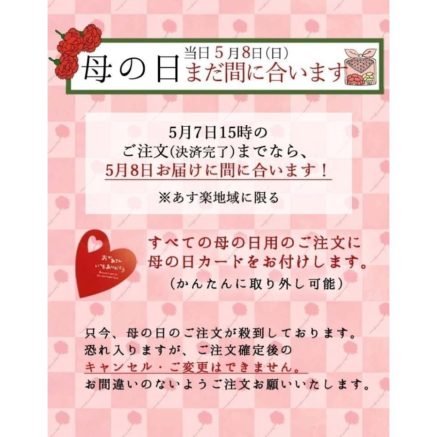 プリザーブドフラワー 花 誕生日 プレゼント 女性 結婚祝い 退職祝い 還暦祝い 米寿祝い 犬 プレゼント ギフト 送別 カード 祖父 祖母 男性 動物 子犬プリザ Koinu プリザフラワーのサウンドアレンジ 通販 Yahoo ショッピング