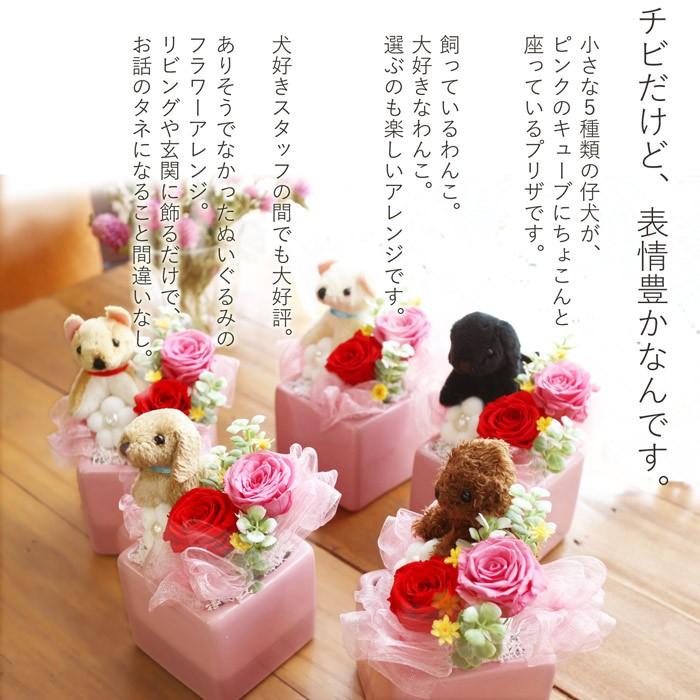 プリザーブドフラワー 犬 プレゼント ギフト 退職祝い 送別 誕生日 女性 花 おしゃれ ランキング ぬいぐるみ 動物 子犬プリザ Koinu プリザ フラワーのサウンドアレンジ 通販 Yahoo ショッピング