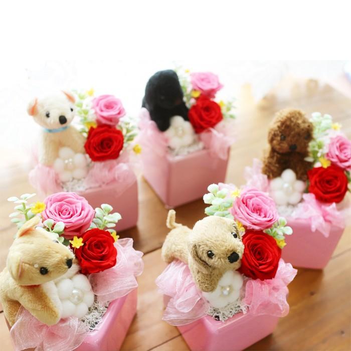 プリザーブドフラワー 犬 プレゼント ギフト 退職祝い 送別 誕生日 女性 花 おしゃれ ランキング ぬいぐるみ 動物 子犬プリザ Koinu プリザ フラワーのサウンドアレンジ 通販 Yahoo ショッピング