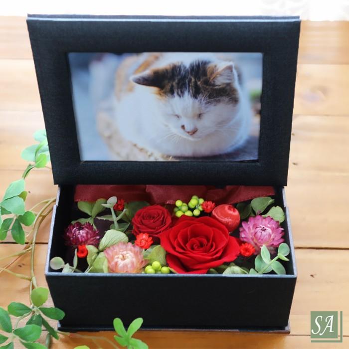 写真印刷無料 写真立て 最短お届け発送中 プリザーブドフラワー 花 写真入り フレーム お供え ペット 仏花 供花 お悔やみ 犬 ねこ フォトフレーム 仏壇用 虹の橋 | サウンドアレンジ | 18