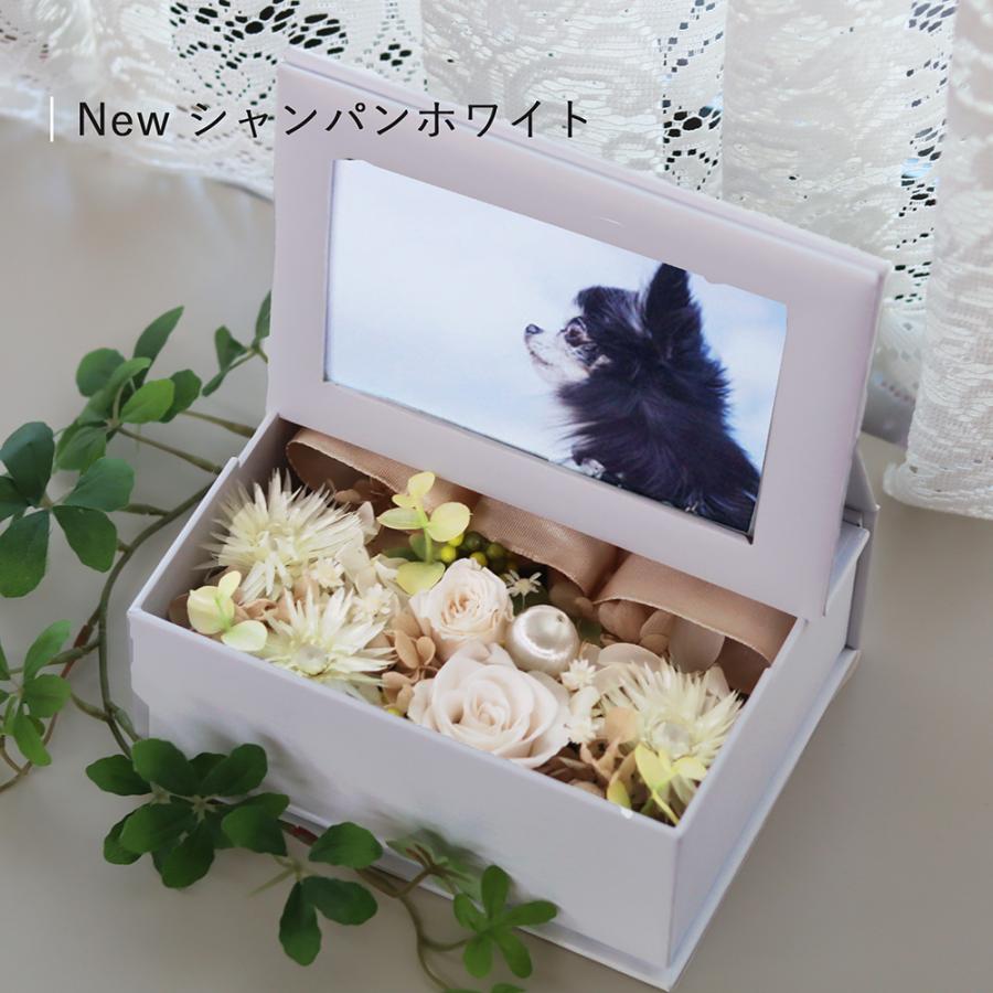 サウンドアレンジ 写真印刷無料 写真立て 最短お届け発送中