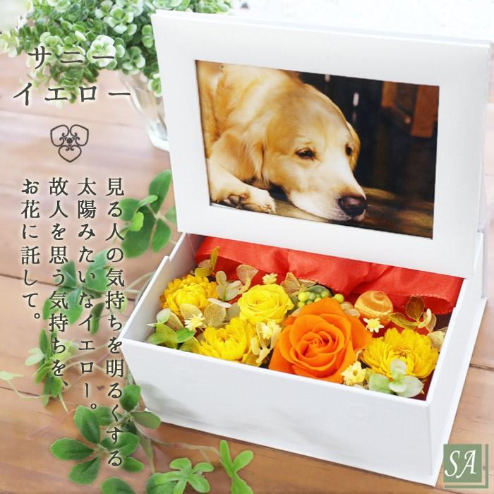 写真印刷無料 写真立て 最短お届け発送中 プリザーブドフラワー 花 写真入り フレーム お供え ペット 仏花 供花 お悔やみ 犬 ねこ フォトフレーム 仏壇用 虹の橋 | サウンドアレンジ | 09