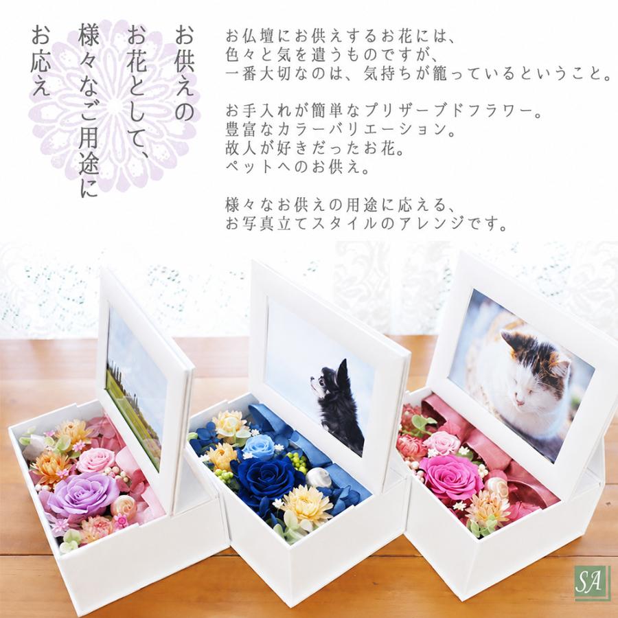 サウンドアレンジ 写真印刷無料 写真立て 最短お届け発送中