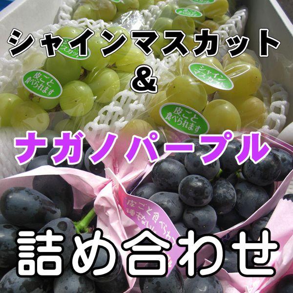 特選 ナガノパープル＋シャインマスカット セット約1000g特選ハウス長野産　送料無料｜s-asahiya