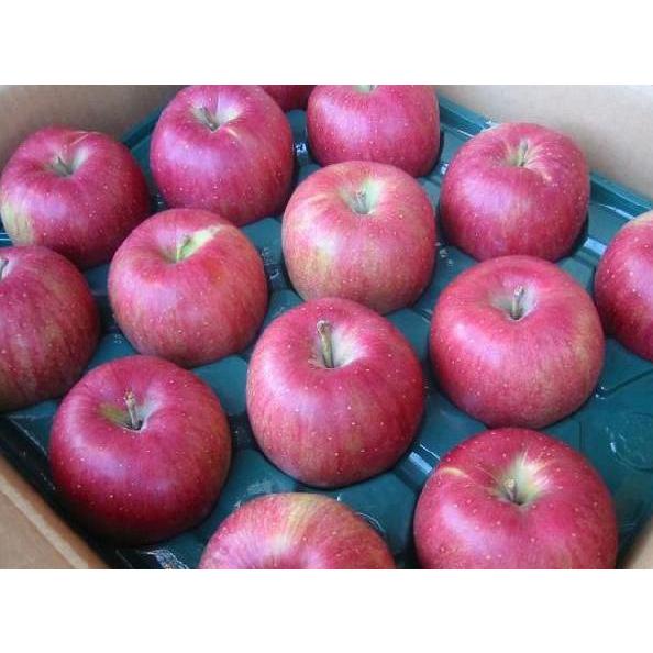 信州産 秀品 シナノスイート 10kg（22玉〜40玉） 長野 りんご