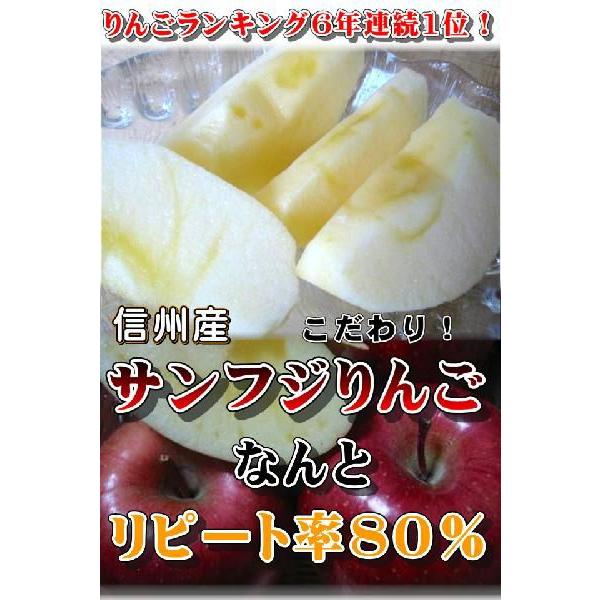 個数限定 長野 サンふじりんご 自家用10kg 訳あり ご家庭用7年