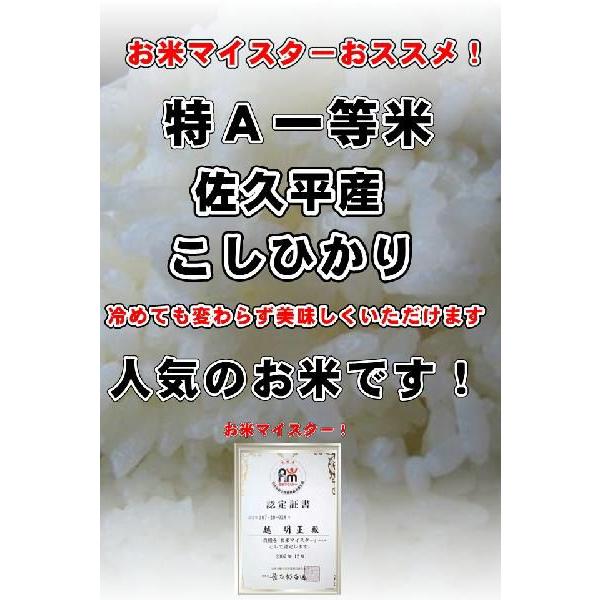 コシヒカリ 新米 お米 米 10kg 長野県 白米 特A米 佐久平産 コシヒカリ 新米 お米 米 10kg 長野県 白米 特A米 佐久平産