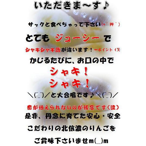 サンふじりんご3kg＋あいかの香り３ｋｇ食べ比べセット　特秀品｜s-asahiya｜03