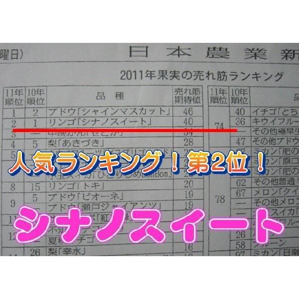 送料無料　信州産　シナノスイート　約５kｇ（自家用・訳あり）（ りんご長野 シナノスイート）｜s-asahiya｜02