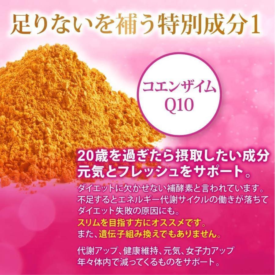 プロテイン 女性 50代 ソイプロテイン 750g アップル シェイカー付き ダイエット 飲みやすい 大容量 高タンパク 無添加 人工甘料不使用 美容 美しい 低カロリーの画像