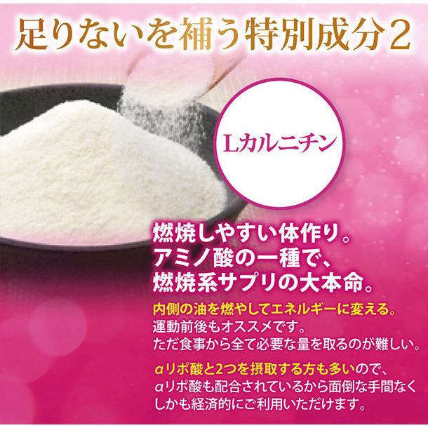 プロテイン 女性 50代 ソイプロテイン 750g アップル シェイカー付き ダイエット 飲みやすい 大容量 高タンパク 無添加 人工甘料不使用 美容 美しい 低カロリーの画像