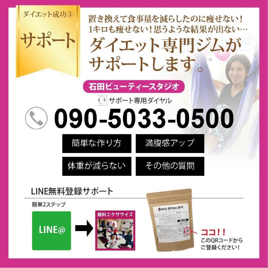 プロテイン 女性 60代 ソイプロテイン 750g アップル/ベジタブル/黒糖ハニー シェイカー付き ダイエット 飲みやすい 高タンパク 無添加 酵素 美容 青汁 低脂質の画像