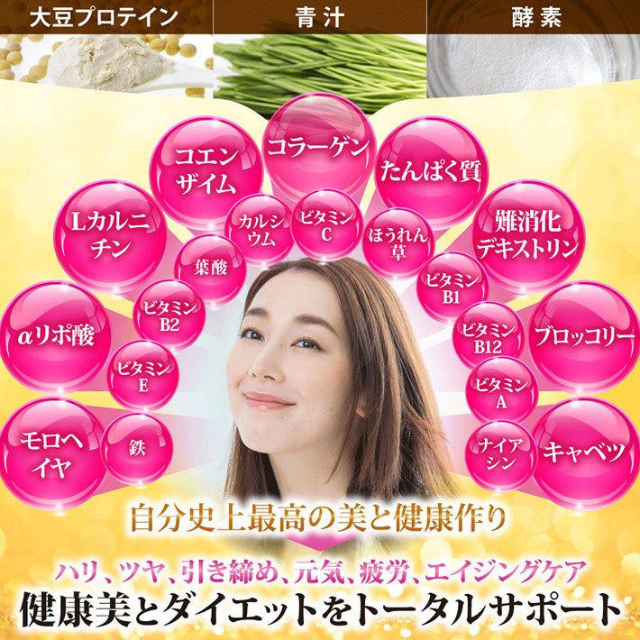 プロテイン 女性 60代 ソイプロテイン 750g アップル/ベジタブル/黒糖ハニー シェイカー付き ダイエット 飲みやすい 高タンパク 無添加 酵素 美容 青汁 低脂質の画像
