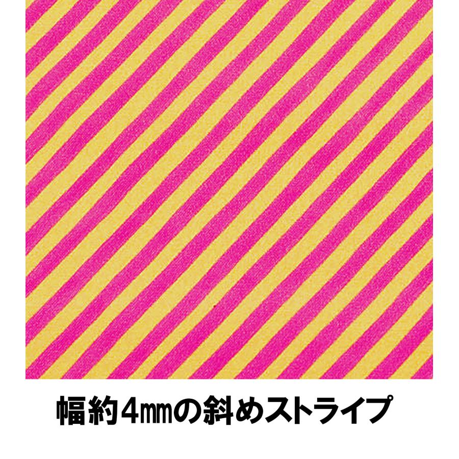 55cmX45cm 生地 ロラライハリス Bias Stripe 斜めバイアスストライプ