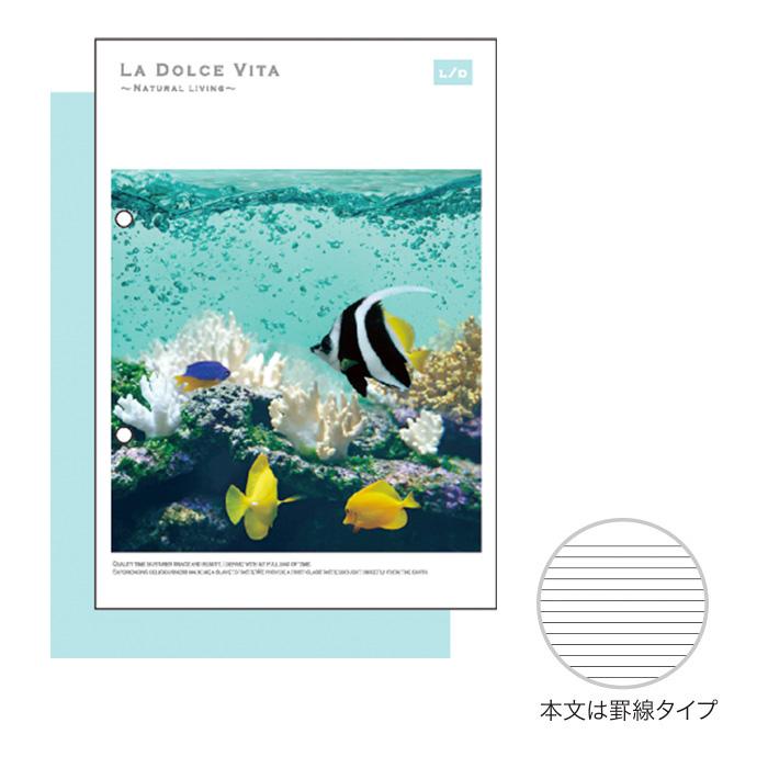 マインドウェイブ フォトシリーズ A5綴じノート 11956 アクア