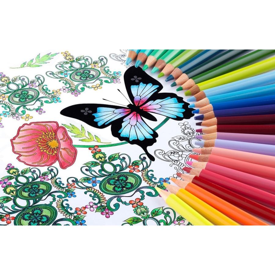 色鉛筆画 色鉛筆 No.888/36色セット/蝶々デザイン/888 36C/三菱鉛筆/塗り絵/コロ