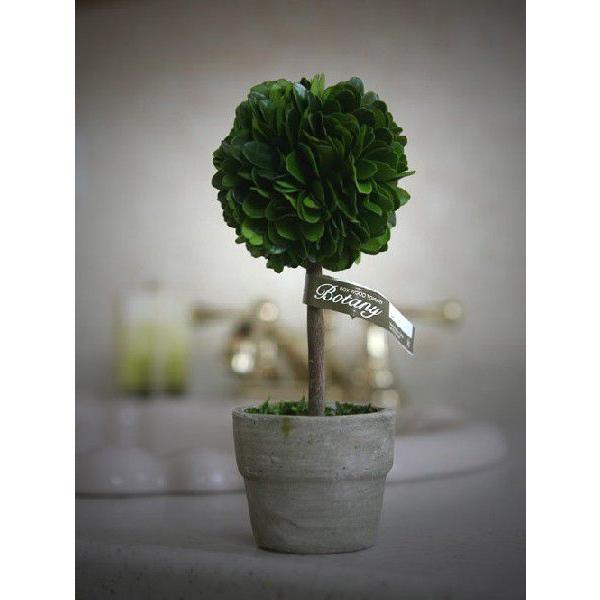 トピアリーボール M 観葉植物 Ch07 G297m ダルトン Dulton Ch07 G297m 城下文化堂yahoo店 通販 Yahoo ショッピング