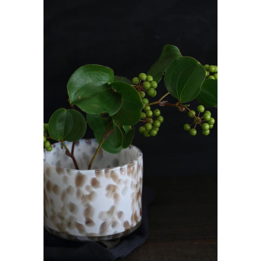 HenryDean ヘンリーディーン アキコ ペルリーノB ガラス花瓶 花器 : S