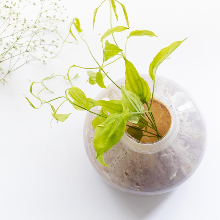 henrydean ヘンリーディーン コルゾ　花瓶　花器 HenryDean ヘンリーディーン V.Femeia S コルゾA ガラス花瓶