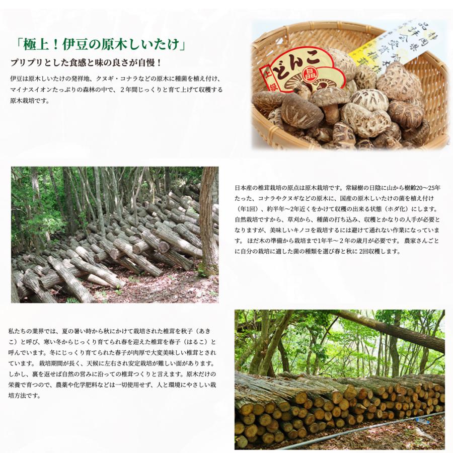 店 オーサワの九州産乾しいたけ 粗粉砕 40g オーサワ Chinahaulcommunity Com