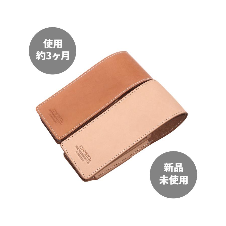 ダーツケース【カメオ】スキニー レザー クリスタルワン専用 ブラック