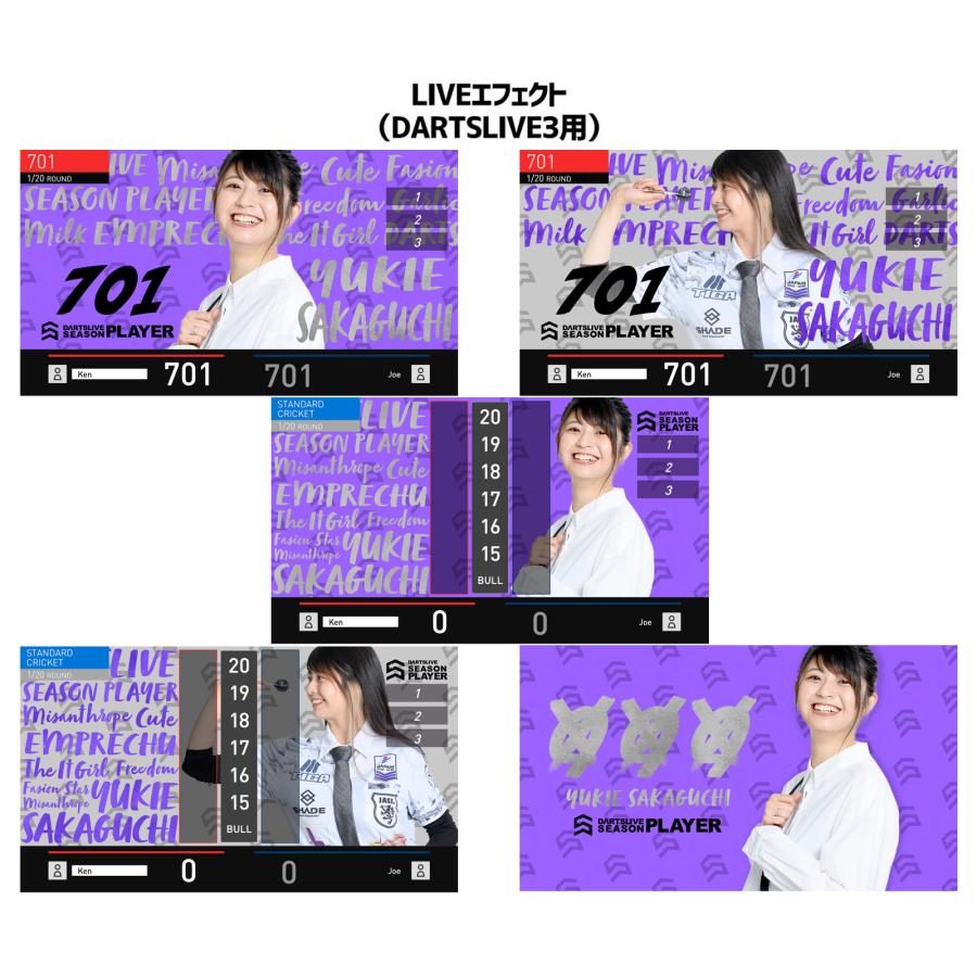 SALE／77%OFF】 ダーツ雑貨ダーツライブ プレイヤーグッズ第二弾 坂口