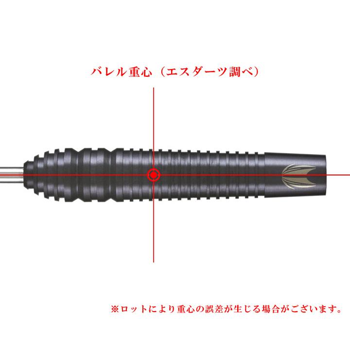 バレル【ターゲット】ロレイン・ウィンスタンリーモデル スティール 24gの画像