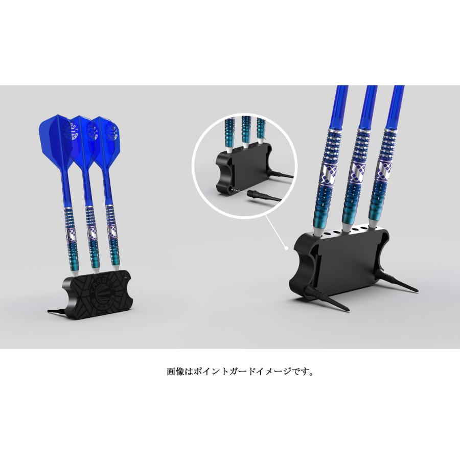 バレル【ターゲット】エンデバー G2 MAX 佐藤かす美モデル 2BA 210487