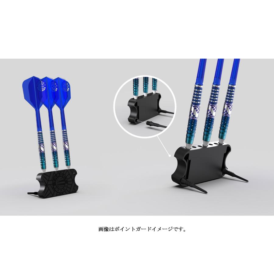 バレル【ターゲット】ザ レジェンド ジェネレーション9 ポール・リムモデル スイスポイント 24g 190592の画像