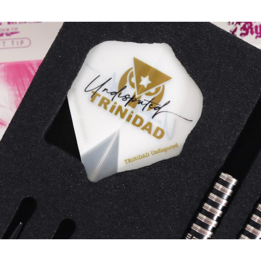 バレル【トリニダード×リュウダーツ】ロメカリ3 エスダーツ限定モデル