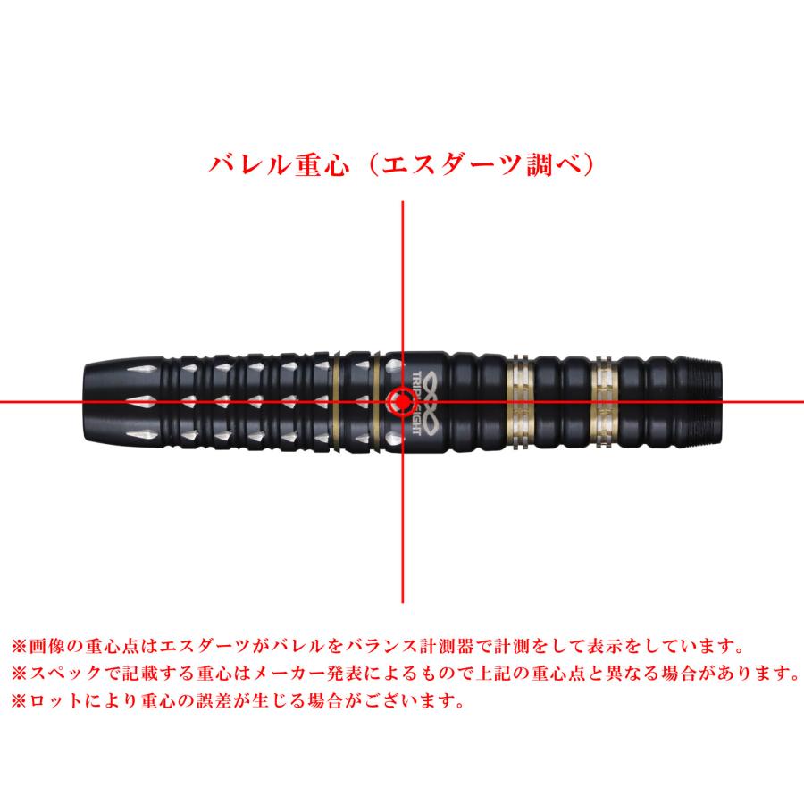 バレル【トリプレイト】アベル2 TR 鎌田愛モデル 2BA : エスダーツ