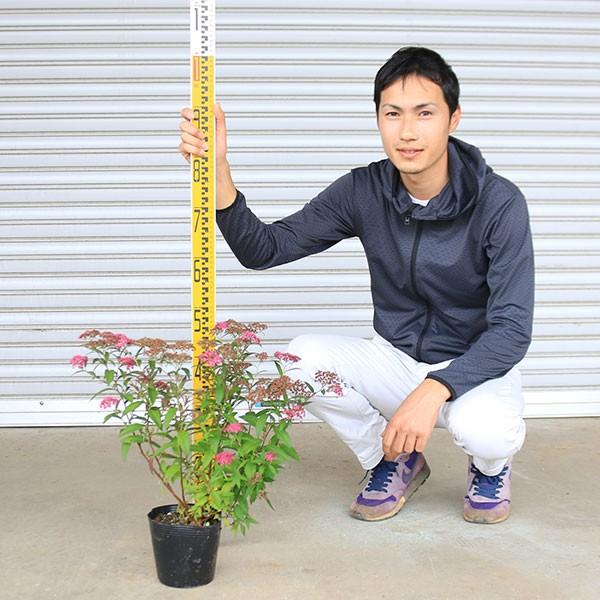 Jones様 専用 粉雪！ ジョーンズ ウェア バックパック セット 粉雪様