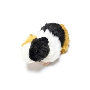 C Rays テンジクネズミ ぬいぐるみ 天竺鼠 リアル モルモット 小動物 おもちゃ B Dtq Sフロンティア 通販 Yahoo ショッピング
