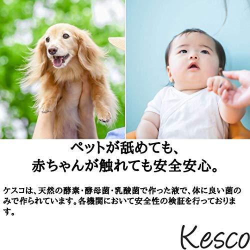 Kesco ケスコ バイオ消臭剤 ケスコビーズ 本体 380g 無香料 置き型 靴 タバコ 部屋 ペット トイレ 約3 5カ月 Iez Sフロンティア 通販 Yahoo ショッピング