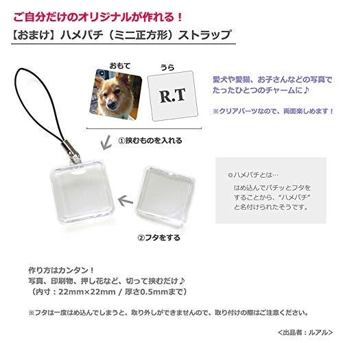 おまけ付き ペット用帽子 秋田犬 被り帽子 干支 キャップ 犬 猫 帽子 なりきり 戌 Everyday Holiday 秋田犬m Mzx Sフロンティア 通販 Yahoo ショッピング