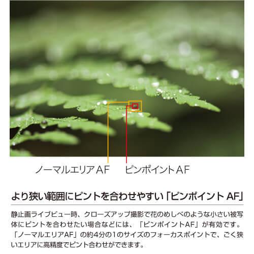 ニコン Nikon D850 ボディ デジタル一眼レフカメラ : S@GUARD ニコン Nikon D850 ボディ デジタル一眼レフカメラ : S@GUARD
