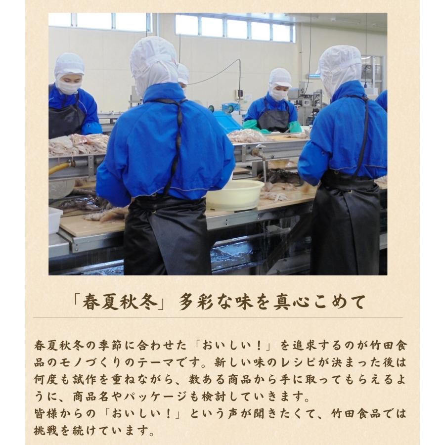 竹田食品 手造り いか塩辛 250g×10 塩から 冷凍 珍味 海産物 おつまみ 北海道 お土産 人気 お中元 通販_6