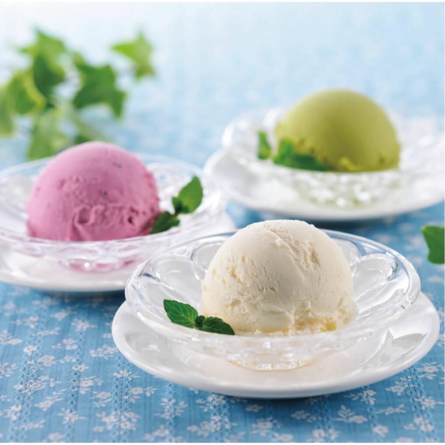 北海道 アイスクリーム 12個詰め合わせ(6種×2) ミルク バニラ