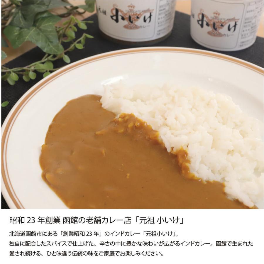 函館 元祖小いけ カレー 450g×3個 ルー カレーソース インドカレー ご当地カレー 小池 北海道 函館市 元祖小いけインドカレー 産地直送 送料無料｜s-hokkaido｜04