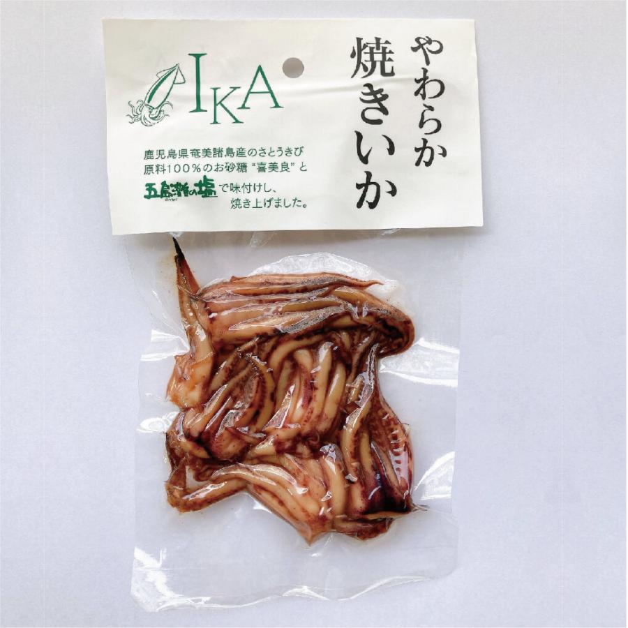 早割クーポン 焼きいか げそ 80g 4袋 真空パック レトルト イカ おつまみ ヱビスパック 函館 北海道 お土産 郷土料理 送料無料 Supplystudies Com