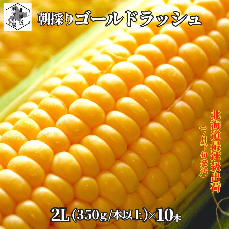 とうもろこし 北海道 ゴールドラッシュ 2L 10本 (350g/本以上) 予約 朝