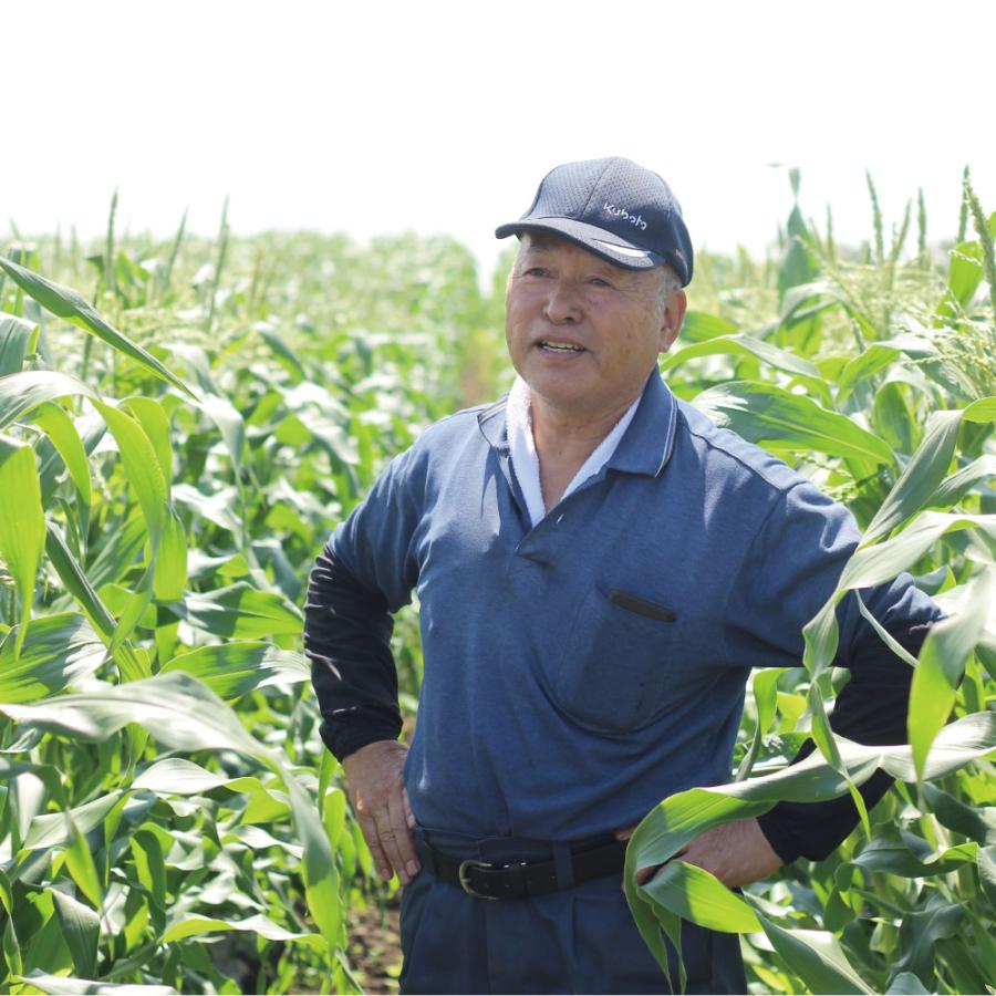 新鮮　北海道産初物　春とうもろこし2Lサイズ　20kg　ハウス栽培 北海道産 朝もぎとうもろこし20本（L〜2Lサイズ）