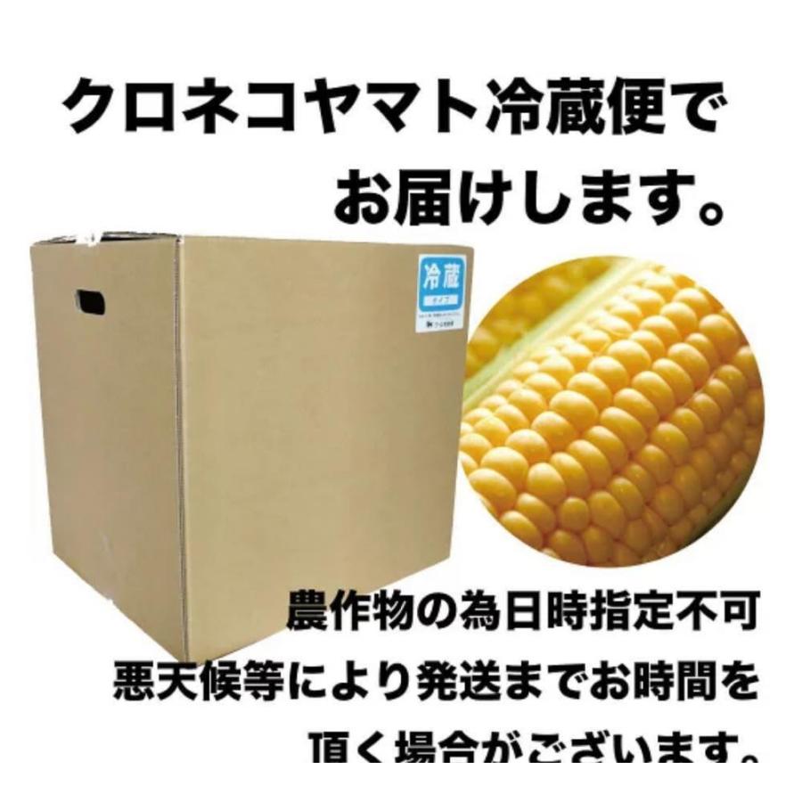 7月下旬発送開始【予約受付中】 とうもろこし 北海道産 ゴールドラッシュ 2Lサイズ × 20本 朝採り 産地直送 スイートコーン とうきび 函館市 山田ファーム｜s-hokkaido｜08