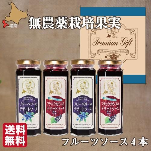 無添加 カシス ブルーベリー デザートソース 詰め合せ ギフト 2箱 セット 各150g 2本入 2 北海道 北斗 自然栽培 フルーツ 送料無料 産地直送 ハウレット農園 Hc Cb2 南北海道の産直店 道南地元市場 通販 Yahoo ショッピング