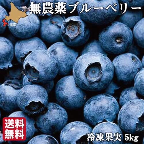 無農薬 冷凍ブルーベリー 5kg (1kg×5袋) 4種ブレンド 冷凍果 フルーツ  
