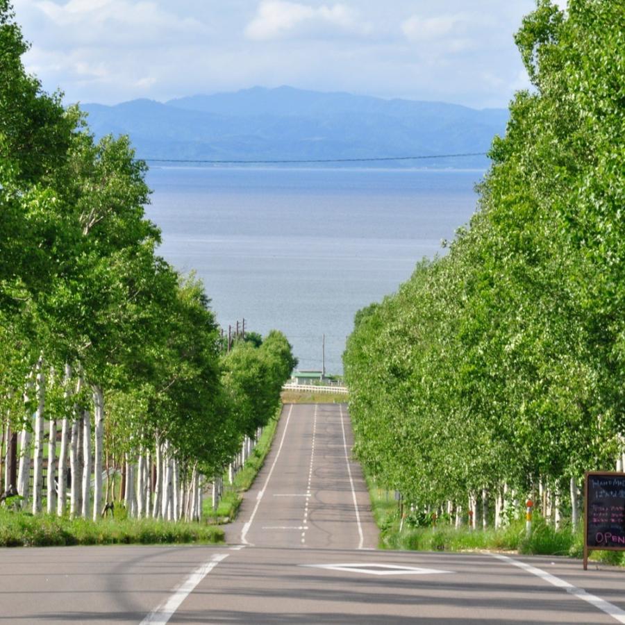 お歳暮 八雲産豚 スペアリブ 骨つき 250g 2袋 豚肉 北海道尾 ハーベスター 八雲 函館 パーティー 送料無料 Hy R2 南北海道の産直店 道南地元市場 通販 Yahoo ショッピング