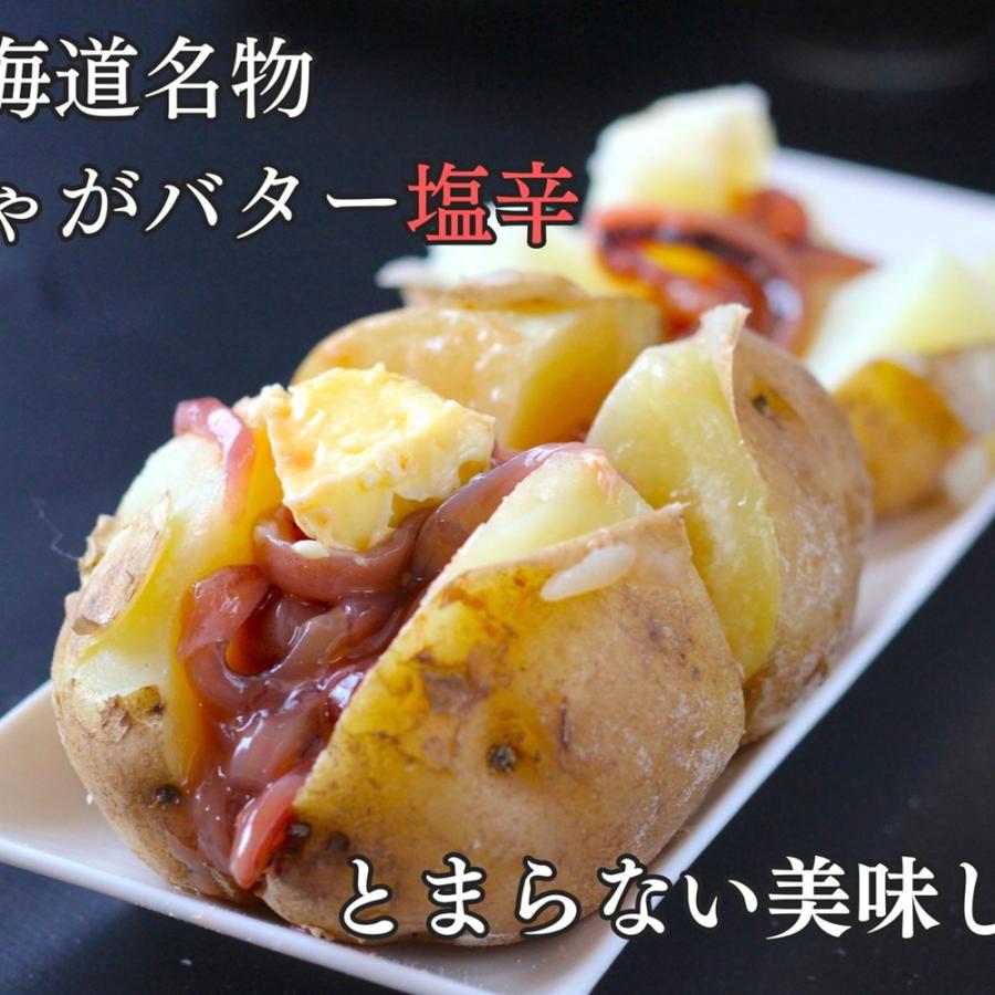 いか塩辛 飲兵衛 3.15kg (350g × 9瓶) 北海道 イカ ミミ 小分け 塩から 珍味 お中元 丸心 業務用_3