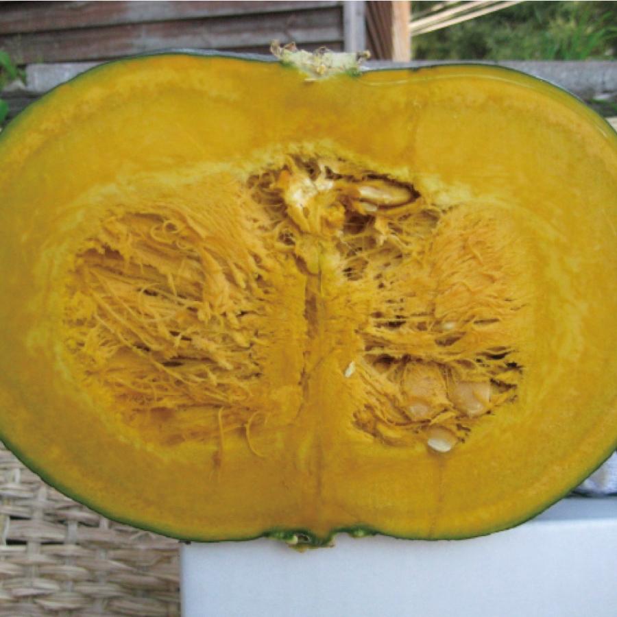 かぼちゃ ペースト 有機 200g×50 みよい農園 オーガニック レトルト 離乳食 JAS有機認定 北海道産 くりりん 業務用 