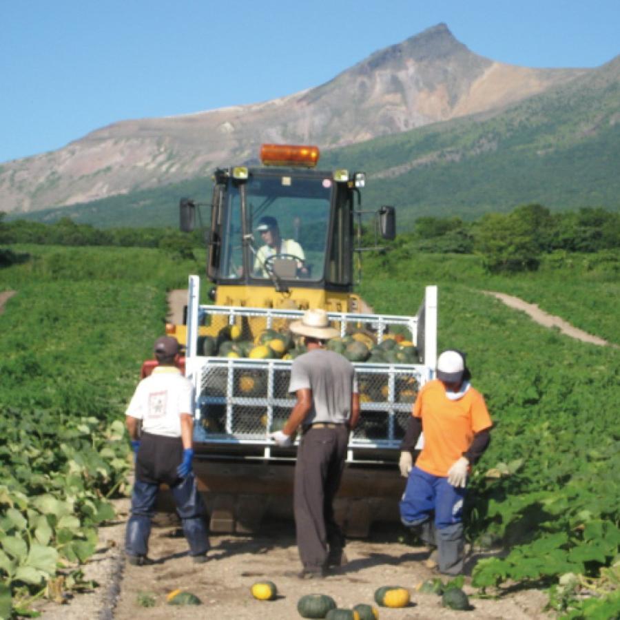 かぼちゃ ペースト 有機 200g×50 みよい農園 オーガニック レトルト 離乳食 JAS有機認定 北海道産 くりりん 業務用 